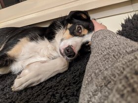 2021-06-28 193101 Louie.jpg